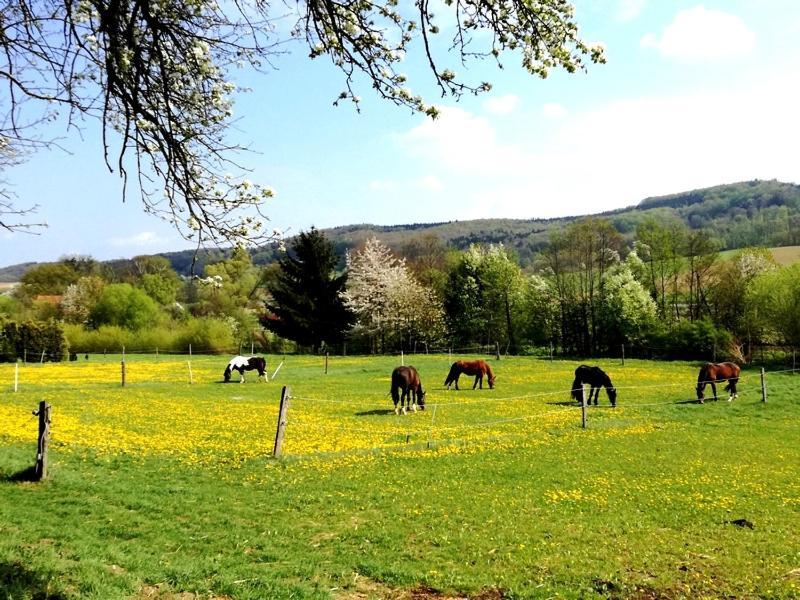 Willa A-Sissy-Hof Bischofstetten Zewnętrze zdjęcie